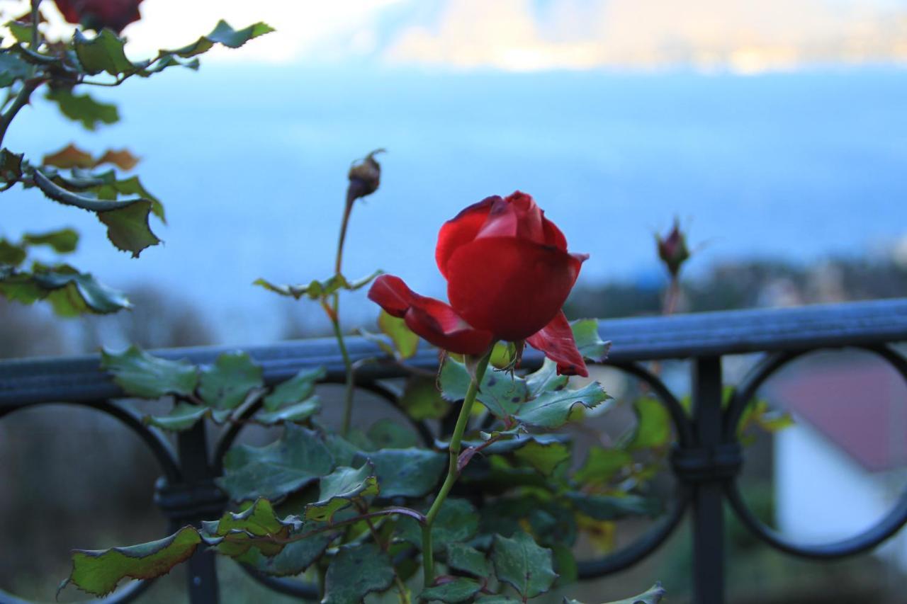 Alba sul lago Stresa Esterno foto